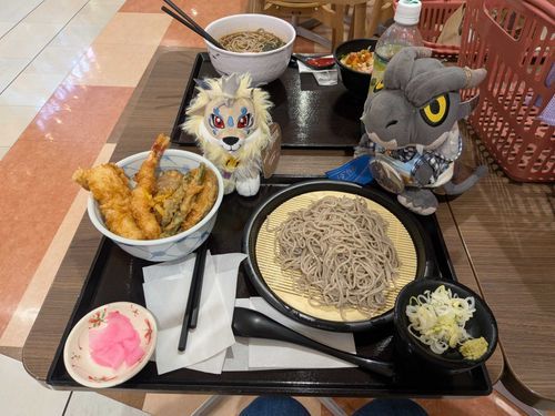 俺とシュラとパートナーとで、昼飯に天丼のざるそばセットを食べたぜ😋♫