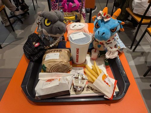 昼飯は、パートナーとシュトルムと一緒にバーガーキングで食べたぜ😋♫
サイドメニューにチーズナゲットSサイズを追加注文したから満腹だぜ〜😁
久々にシュトルムはお出掛けだったな🤔