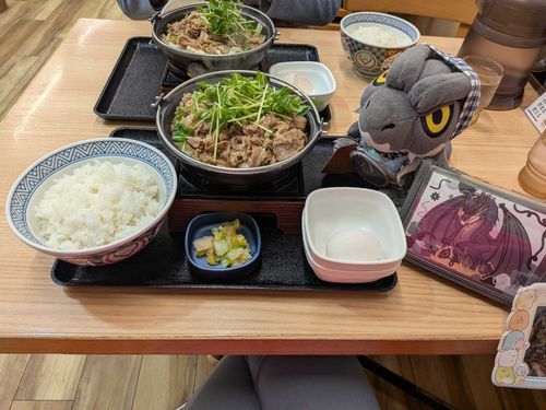 今日吉野家にパートナーと一緒に夜飯食いに行って来たぜ😋♫
ついに牛すき鍋膳の解禁だぞ✨️🍲✨️
今年は、新作の鍋膳でるのかな？🍲
楽しみだぜ😄