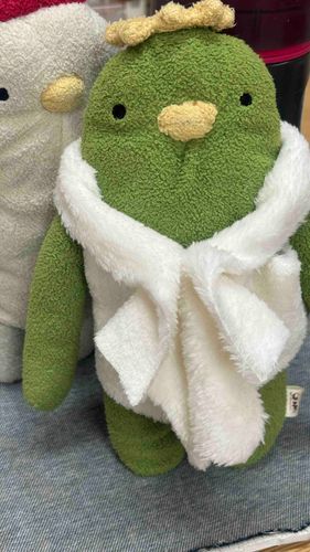 おようふくかりてみた
