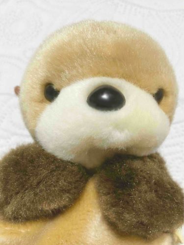 らっこだよ
