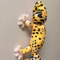 シュシュ