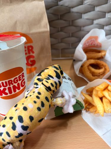 バーガーキングをたべたよ！
クリーミーマヨアボカドワッパーっていうんだって。
おなまえすっごくながい！
おなまえとおなじ、クリーミーなマヨネーズソースがのうこうなワッパーだったよ！
クーポンのオニオンリングもあまくておいしかったよ。