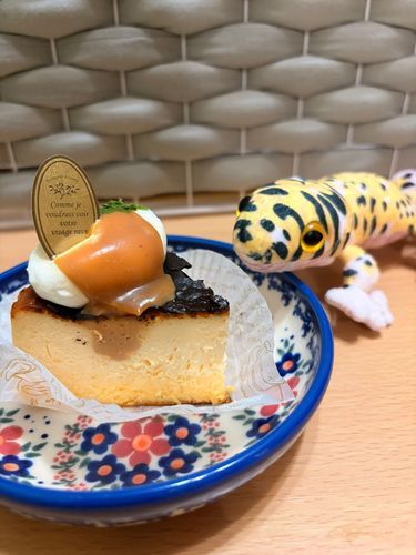 おはよう。
これはバスクチーズケーキだよ。
しっとりしてて、とてもおいしかった！
うえにはキャラメルのソースがかかってたよ。
あまじょっぱくてケーキにぴったり！
ぺろりとたべちゃったよ。