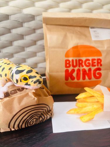 バーガーキングでおおきいワッパーをかったよ。
このまえたべた、スパイシーサルサアボカドワッパーがおいしくって、jr.じゃないワッパーでかったんだ。
オールヘビーにしたから、ソースがたっぷりでとってもおいしかった！
オールヘビーはまほうのことばだね！