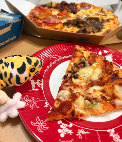 ピザパーティーをしたよ！
ていばんのピザと、おにくのピザと、からいピザをたべたよ。
からいピザは、ハラペーニョがのっててとってもおいしかった！
すこしさめちゃってたけど、チーズたっぷりで、はいとくてきだった！
またパーティーしたいなあ。