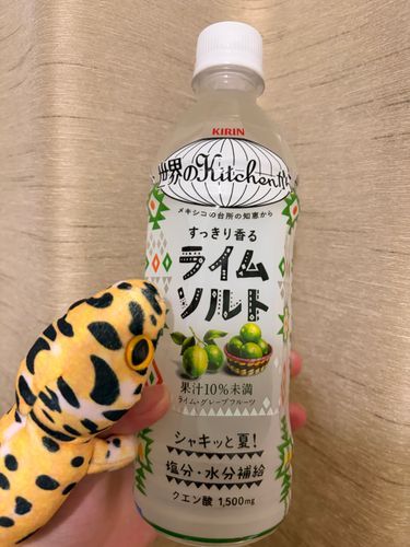 さわやかなジュースをのんだよ。
ライムソルトっていうんだって。
さっぱりしたアクエリみたいなあじだったよ。
あついなつにちょうどいいね！
ねっちゅうしょうたいさくにピッタリ！