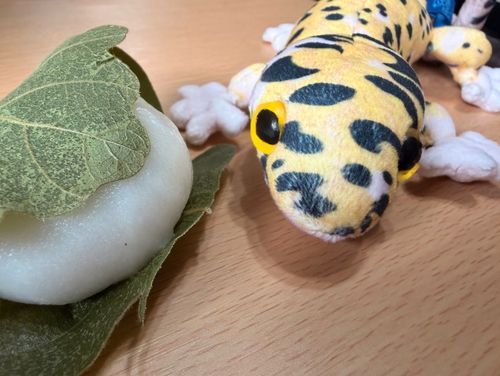 きのうはこどものひ！
かしわもちをかったよ。
もっちりしてておいしい〜！
ごしゅじんは、こしあんのかしわもちがすきなんだって。
おみせには、みそあんのかしわもちもあったよ。
どんなあじなんだろう〜。