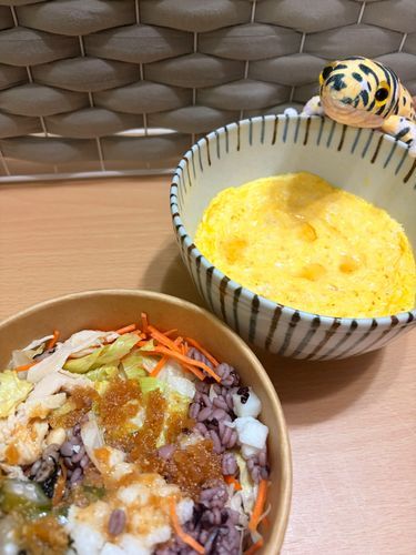 さいきん、ごしゅじんはけんこうにきをつけているらしい。
このひのごはんは、サラダとおおきなだしたまご。
だしたまごは、おいしくてラクチンでこうタンパクなんだって！
サラダばっかりたべてると、おなかひえちゃうから、きをつけてほしいなあ。