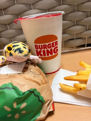 バーガーキングにいったよ。
このまえまでワッパーまつりっていうおまつりをやってたんだ。
セットのおねだんで、たんぴんがかえる、とってもオトクなおまつりだよ！
ごしゅじんはスパイシーワッパーをちゅうもんしてた！
ひさびさのジャンクフードはさいこうだね〜！