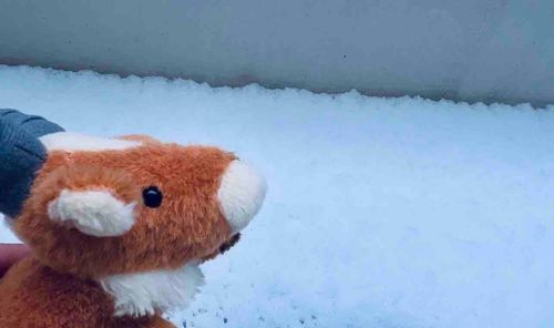 .....寒いなって思ってた！ヤックル名探偵だから天気もあてるよ🦌
