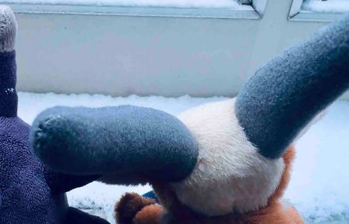 ❄️