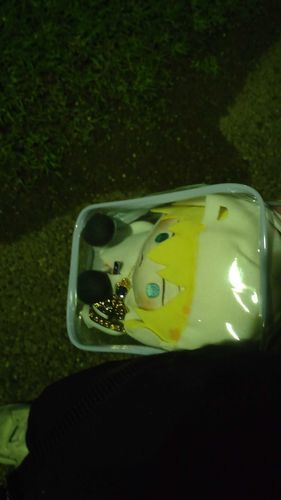 あるじとよるのおさんぽ！
