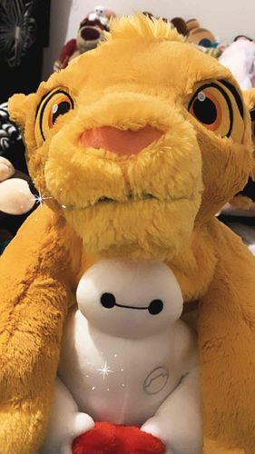 新入生代表 ： シンバとベイマックス先輩