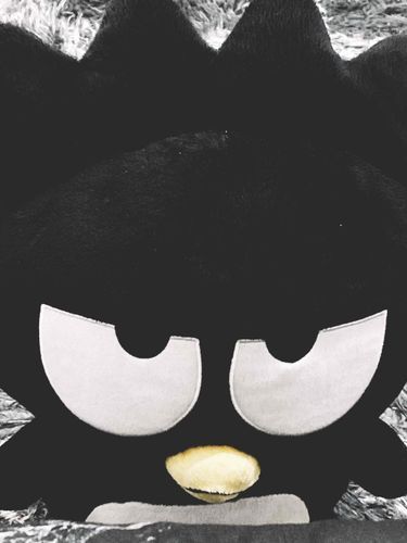 ✕〇(煽り)