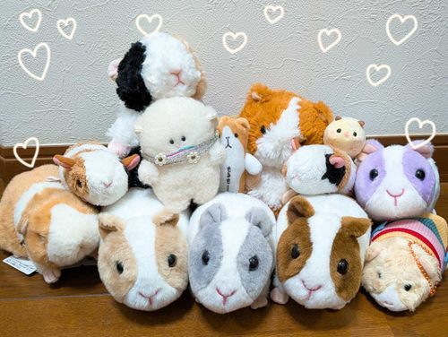 じっか　に　かえってきたでち。
じっか　には　ぷくのなかまが　いっぱいいるんでち🐹🐭