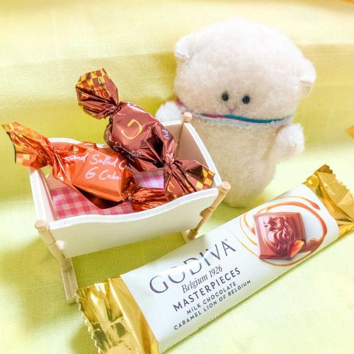 きょうのおやつは　ごでぃばでち🍫
ニンゲンは　ちょこれーとときゃらめる　のくみあわせが　すきらしいでち。