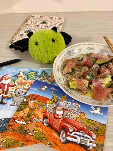 南半球からクリスマスカードを送るよ🎅