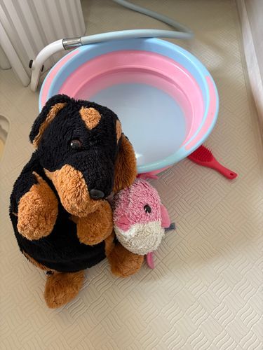 いせこ久しぶりの入浴
お友達であり大先輩のモンと一緒に🐶