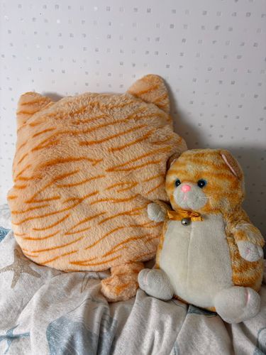 未就学の頃からの付き合いのミミちゃんと、
新入りのイマジナリー茶トラ🐈