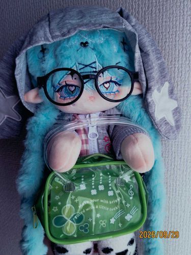 平成感満載のビニールバッグ🍀*゜
主はエプロンも裁縫セットも四葉でした🍀⟡.·