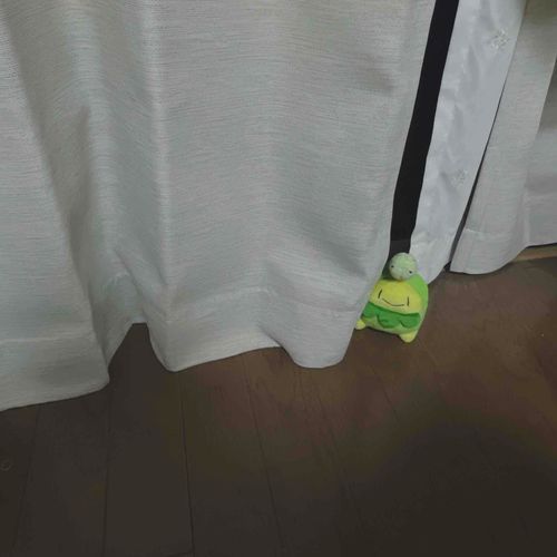 …………。