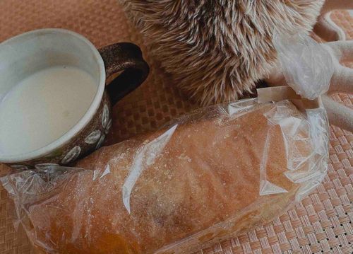 朝のパンとミルクだよ