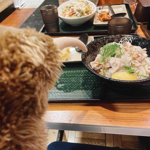 おうどんの日