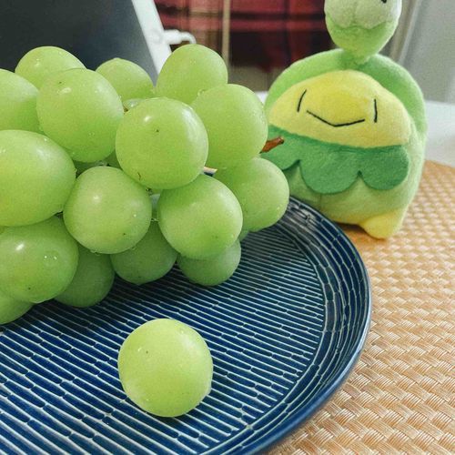 ポスト