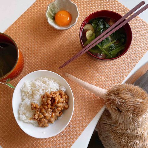 おはよう☀️ホカホカ朝ごはん🍚
