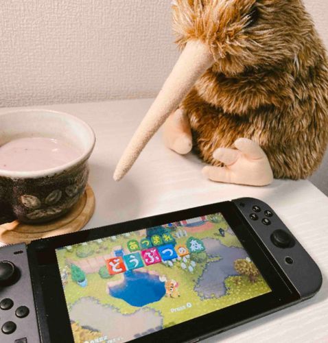 寒い日  ココアでゆっくりするよね