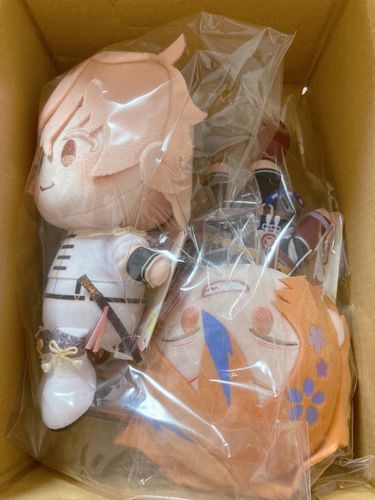 ゆうべ、ざんぎょうがえりでつかれてるたいしょうのもとにやってきたぜ！
たいしょうはおれたちをふくろからだしたはいいけど、きりょくがつきてほかのしゃしんをとってなかったみたいだな……