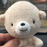 ぼちゃ