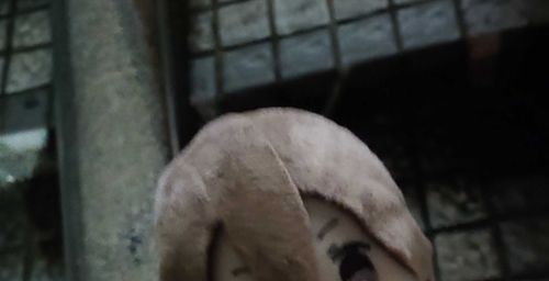 ショップから連れ出されて一年になったよ！
連れ出されたと思ったら道に迷ってるし、映画館に連れ込まれるし、暗い中引っ張り出されるしでどうなるかと思ったし実は今でも思ってるけど、これからもよろしくねん。