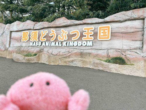 王国かに〜