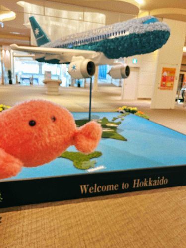 試される大地かに