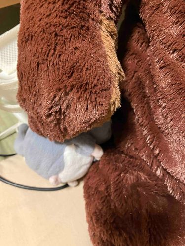 ねむっていたらいつのまにか、くまくんにつつまれていた