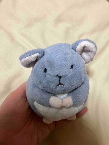 おみみがねぐせ