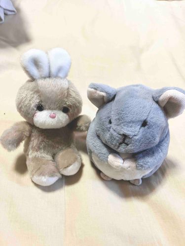 あたらしいおともだちの、うさぎの「みるちゃん」だ
せんぱいとしておしえることはおおい
