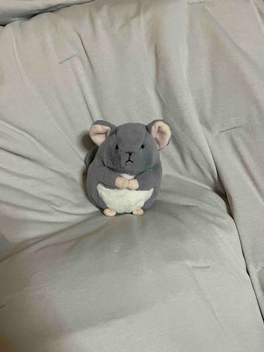 あたらしいおふとんだ
さらさらのもちもちだ