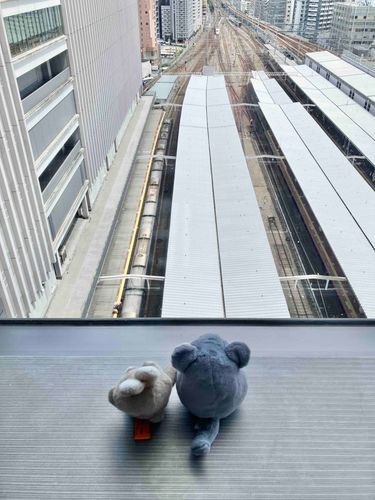 みるちゃんと、電車をみている