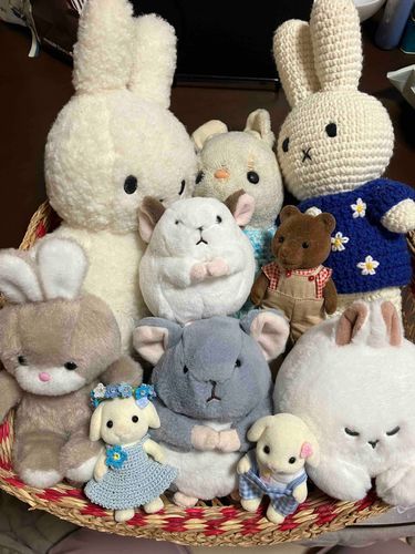 10月23日はるるの2かいめのおたんじょうびだったので、集合しゃしんをとった