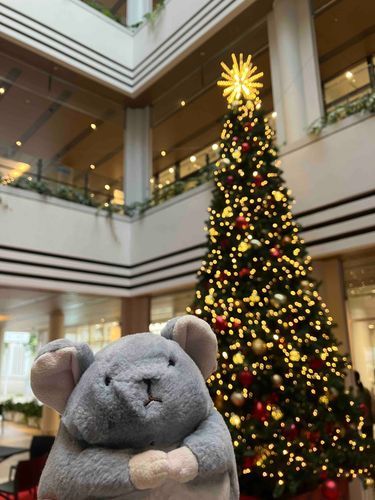 もうすぐクリスマスだな