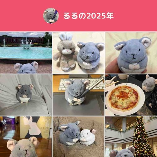 おでかけもしたし、あたらしいなかまもふえた