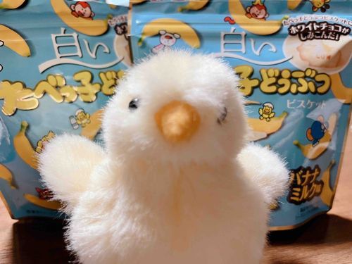 食べたくて買ってきた〜〜
明日からダイエットする