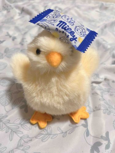 カッチコチのミルキーもらった！