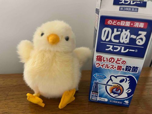 のどぬ〜るスプレー初めて使った！
まっっっずい！喉早く良くなれ〜〜！！！！！