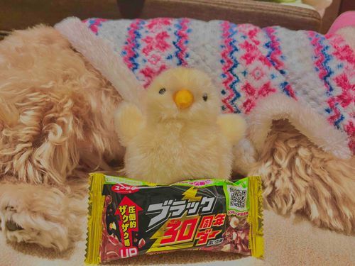 ブラック30周年ダー⚡️⚡️⚡️
