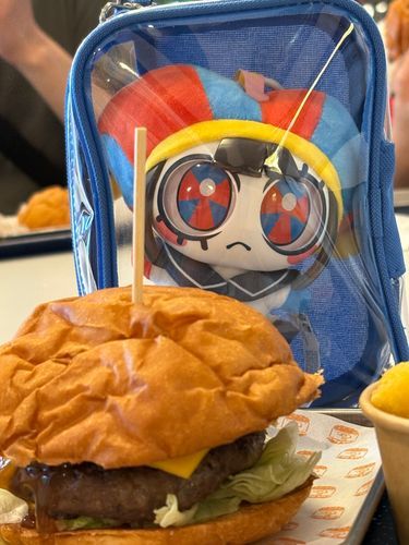 ポムニ、ハンバーガーだよ

(新しい子なので汚さないようポーチ入)