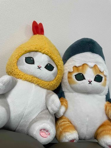 🐼ひだりのこ、ぷりんちゃんです。えびフライのきぐるみをきています。よろしくです。